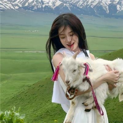 女猫